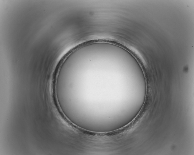 X0000095120983200712070939