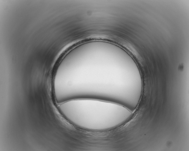 X0000095120984200712070939