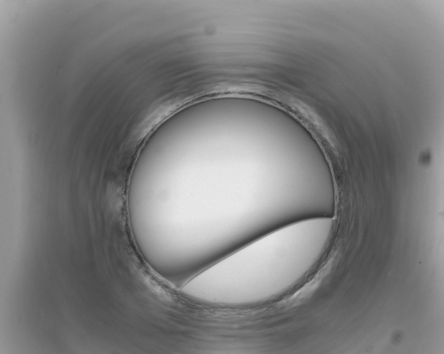 X0000095120985200712070939