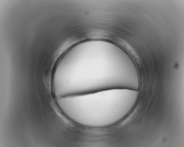 X0000095120986200712070939