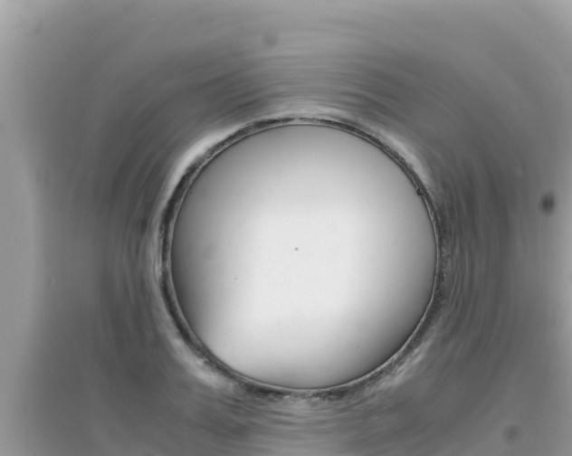 X0000095120987200712070939