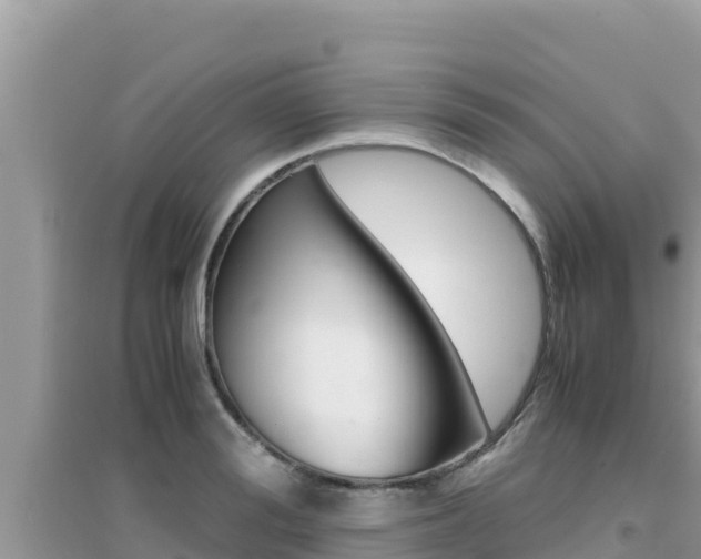 X0000095120988200712070939
