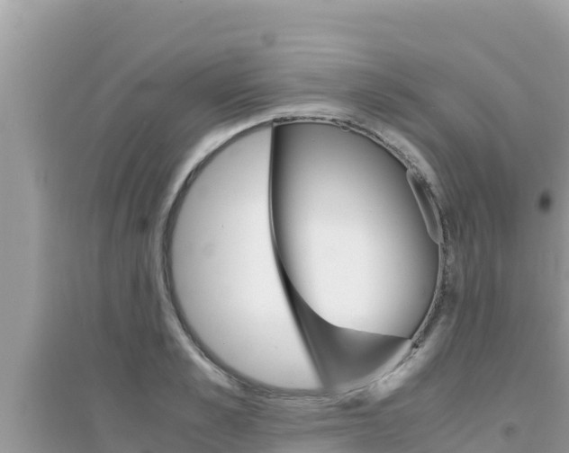 X0000095120989200712070939