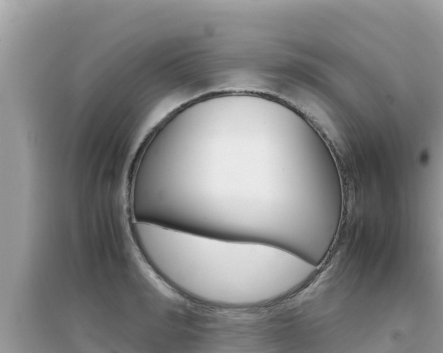 X0000095120990200712070939