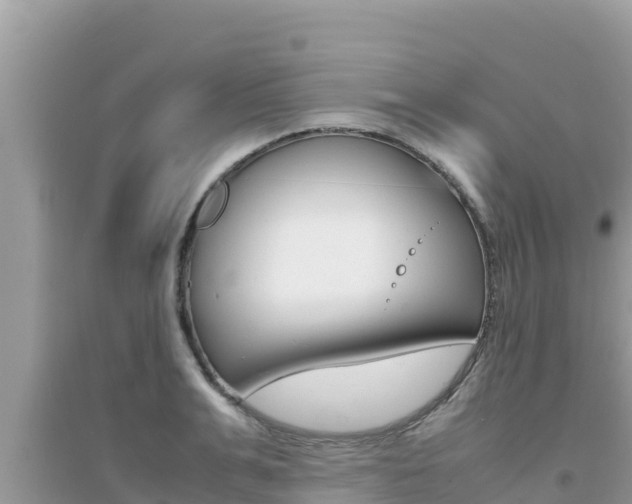 X0000095120991200712070939