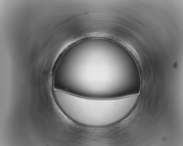X0000095120992200712070939