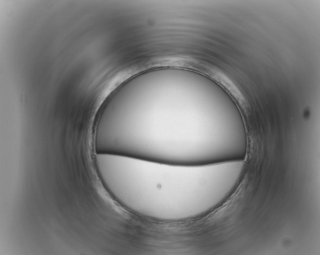 X0000095120994200712070939