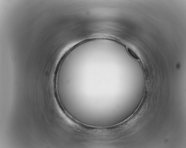 X0000095120995200712070939