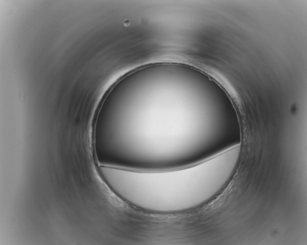 X0000095120996200712070939