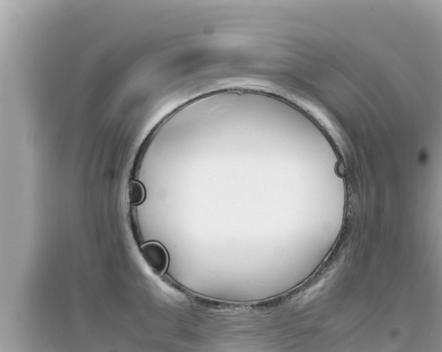 X0000095120999200712070939