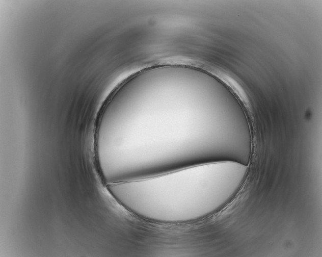 X0000095121000200712070939