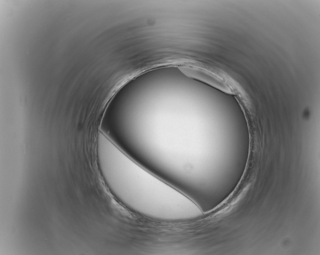 X0000095121001200712070939