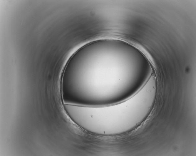 X0000095121004200712070939