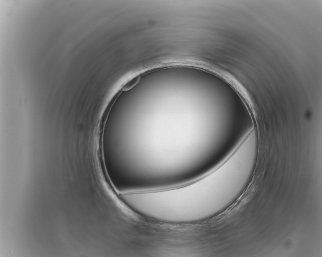 X0000095121005200712070939
