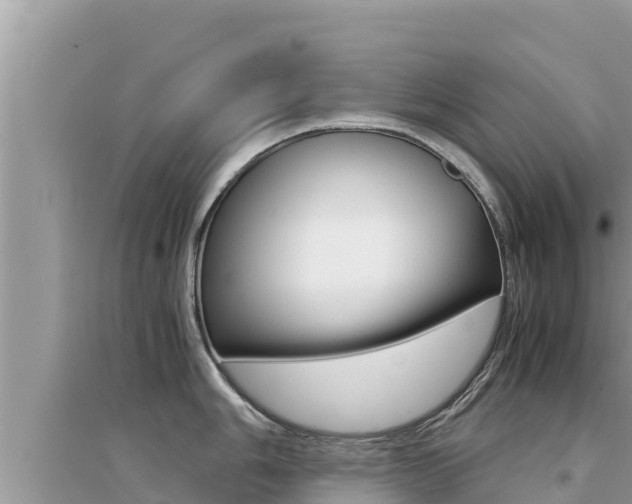 X0000095121006200712070939