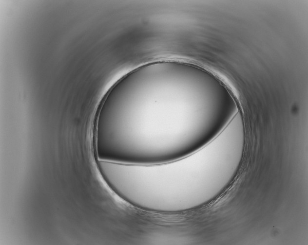 X0000095121007200712070939