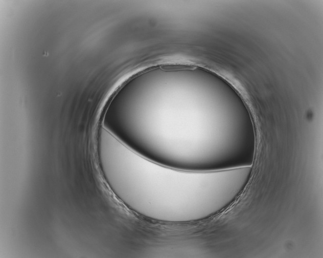X0000095121008200712070938