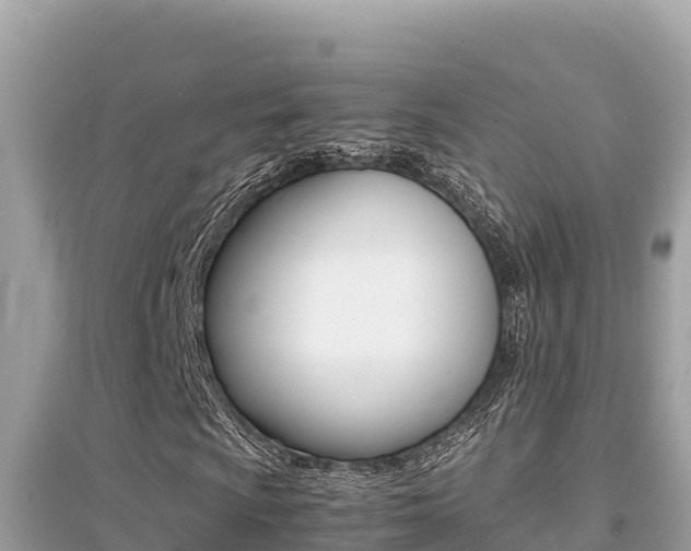 X0000095121009200712070938