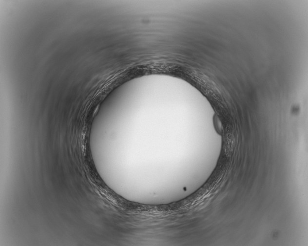 X0000095121010200712070938