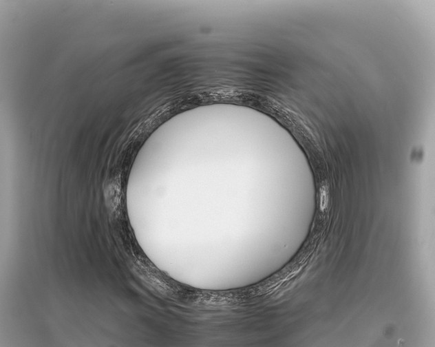 X0000095121011200712070938