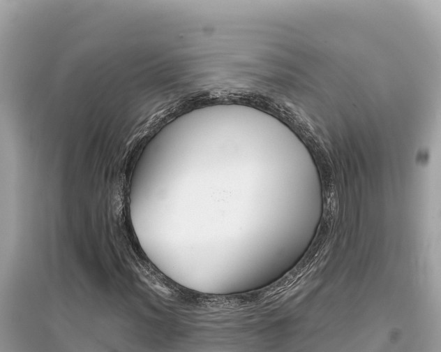 X0000095121012200712070938