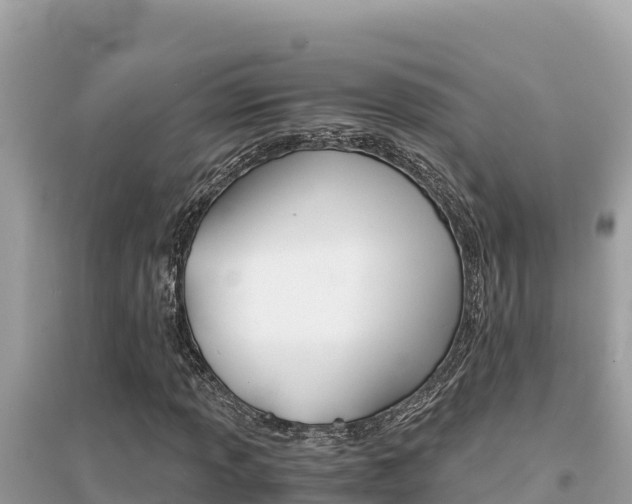 X0000095121013200712070938