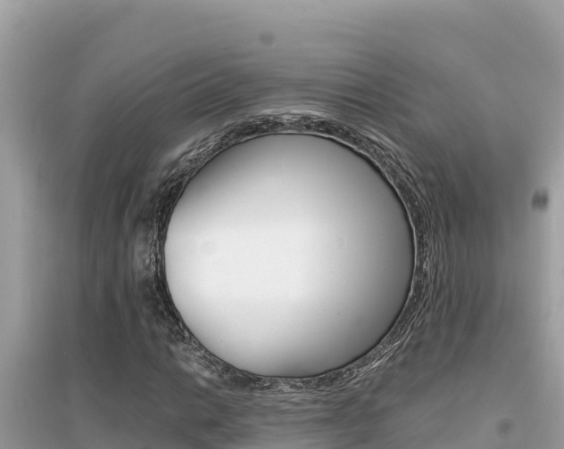 X0000095121014200712070938