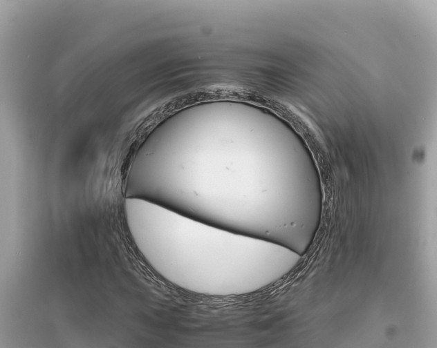 X0000095121015200712070938