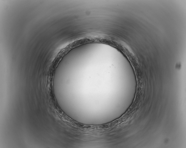 X0000095121016200712070938