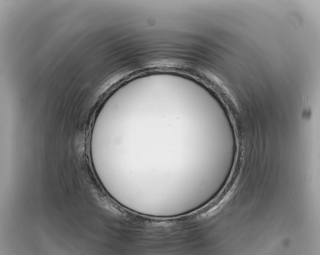 X0000095121017200712070938