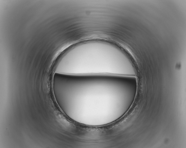 X0000095121018200712070938