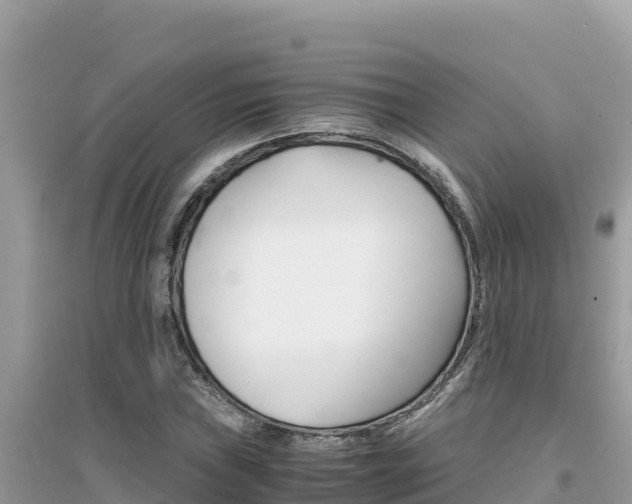 X0000095121019200712070938
