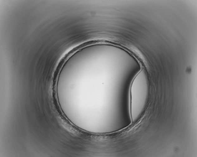 X0000095121020200712070938