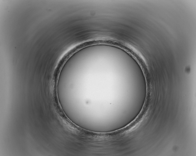 X0000095121021200712070938