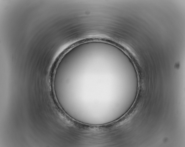 X0000095121022200712070938