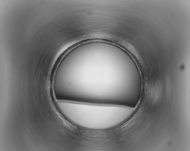 X0000095121024200712070938