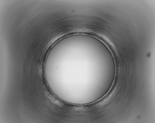 X0000095121025200712070938