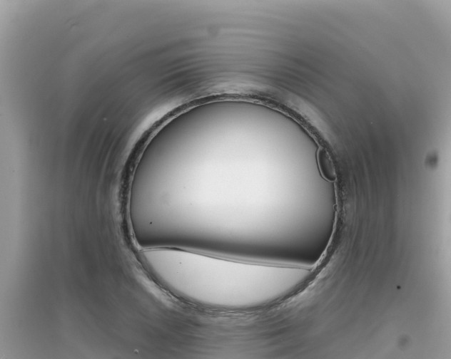 X0000095121026200712070938