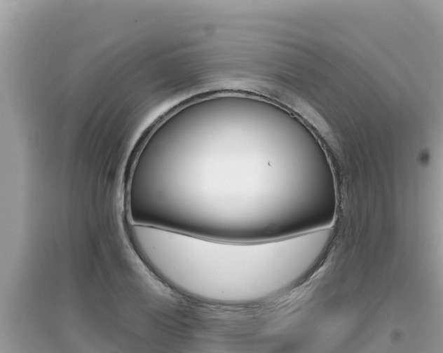 X0000095121028200712070938