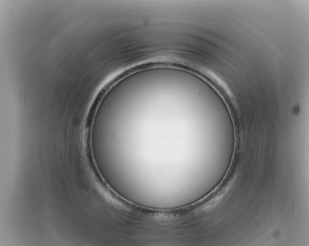 X0000095121029200712070938