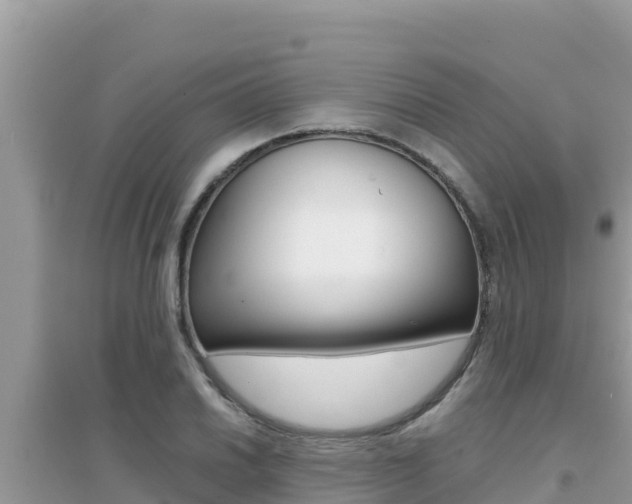 X0000095121030200712070938