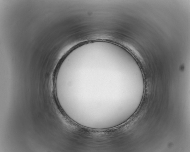 X0000095121031200712070938