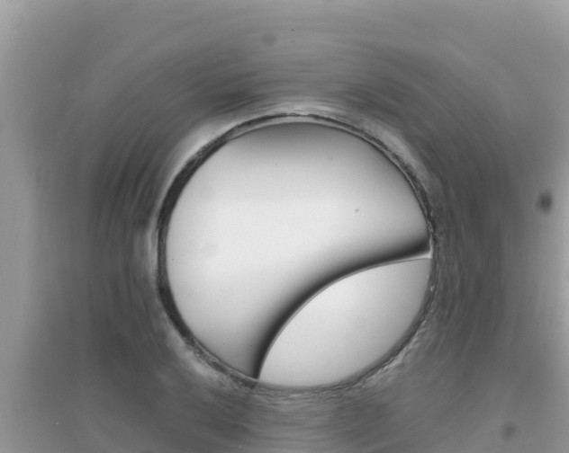 X0000095121032200712070938