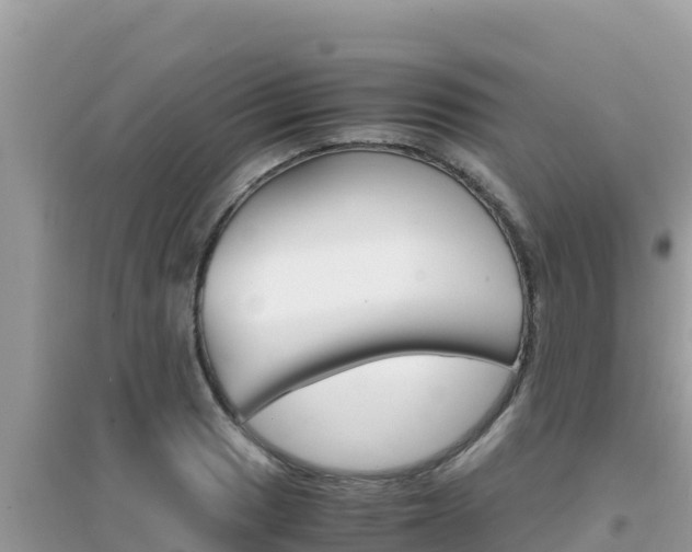 X0000095121033200712070938