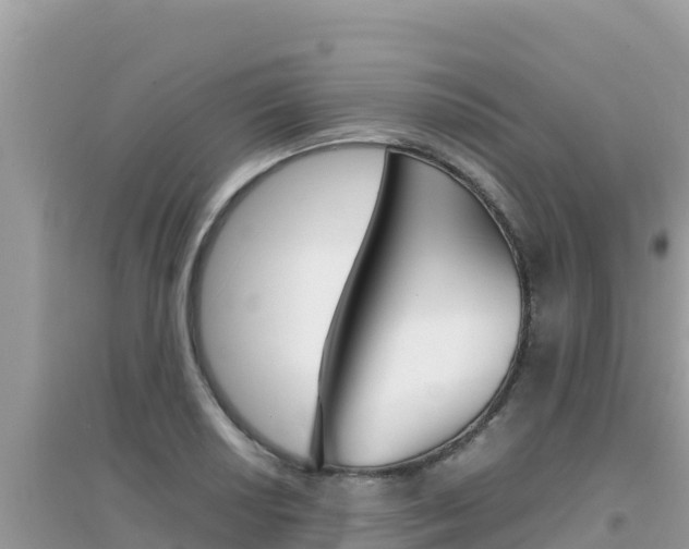 X0000095121034200712070938