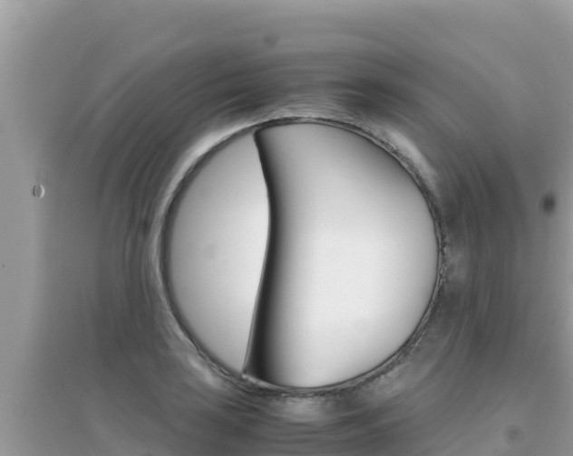 X0000095121035200712070938