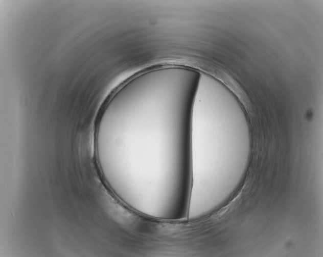 X0000095121036200712070938