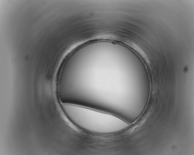 X0000095121037200712070938