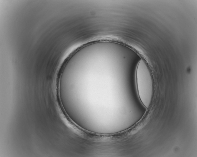 X0000095121038200712070938