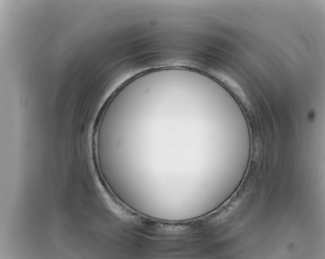 X0000095121039200712070938